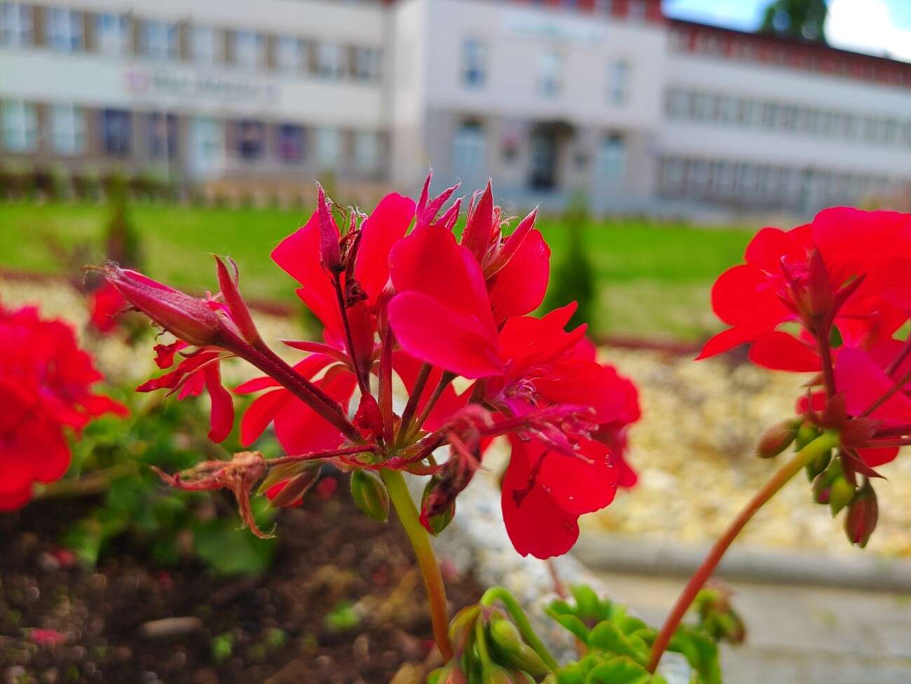 Test RedMagic 5G. Bestia ze 144 Hz ekranem chłodzona wentylatorem