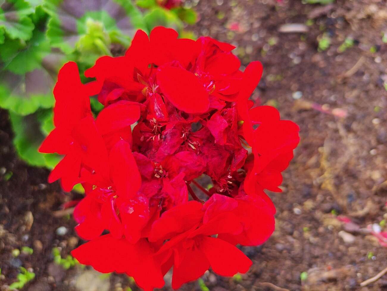 Test RedMagic 5G. Bestia ze 144 Hz ekranem chłodzona wentylatorem