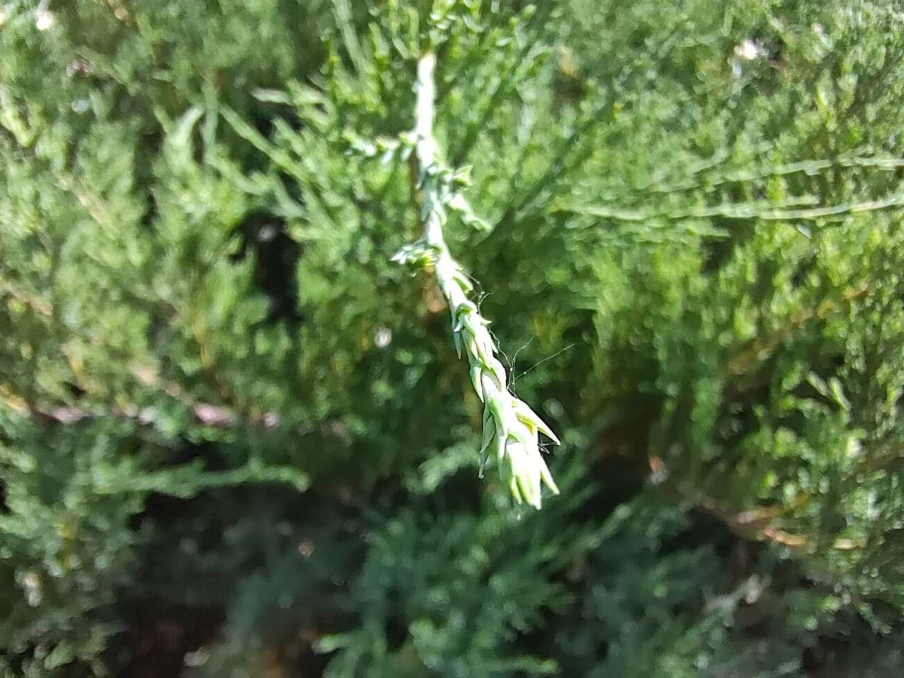 Test RedMagic 5G. Bestia ze 144 Hz ekranem chłodzona wentylatorem