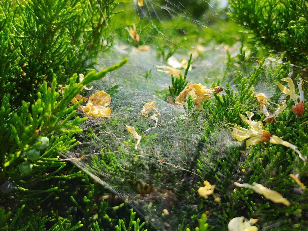 Test RedMagic 5G. Bestia ze 144 Hz ekranem chłodzona wentylatorem