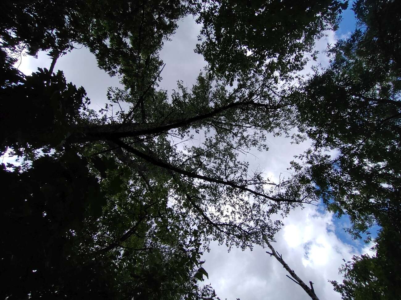 Test RedMagic 5G. Bestia ze 144 Hz ekranem chłodzona wentylatorem