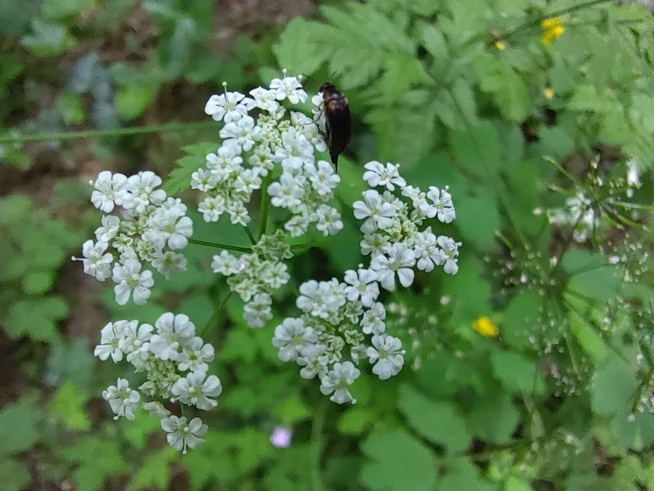 Test RedMagic 5G. Bestia ze 144 Hz ekranem chłodzona wentylatorem