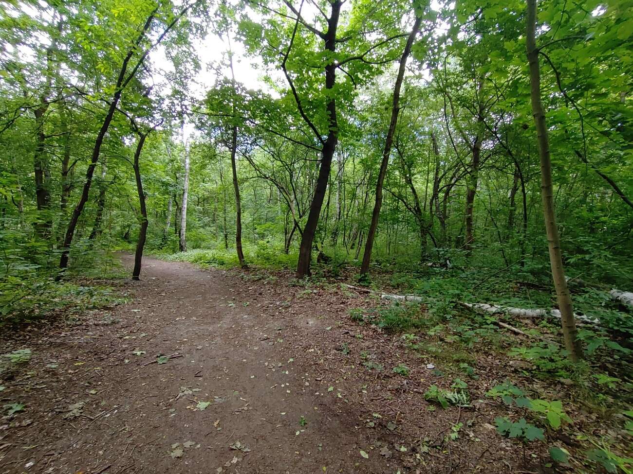 Test RedMagic 5G. Bestia ze 144 Hz ekranem chłodzona wentylatorem