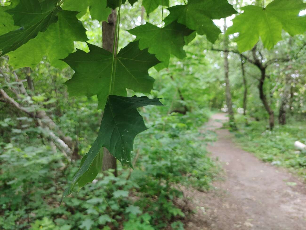 Test RedMagic 5G. Bestia ze 144 Hz ekranem chłodzona wentylatorem