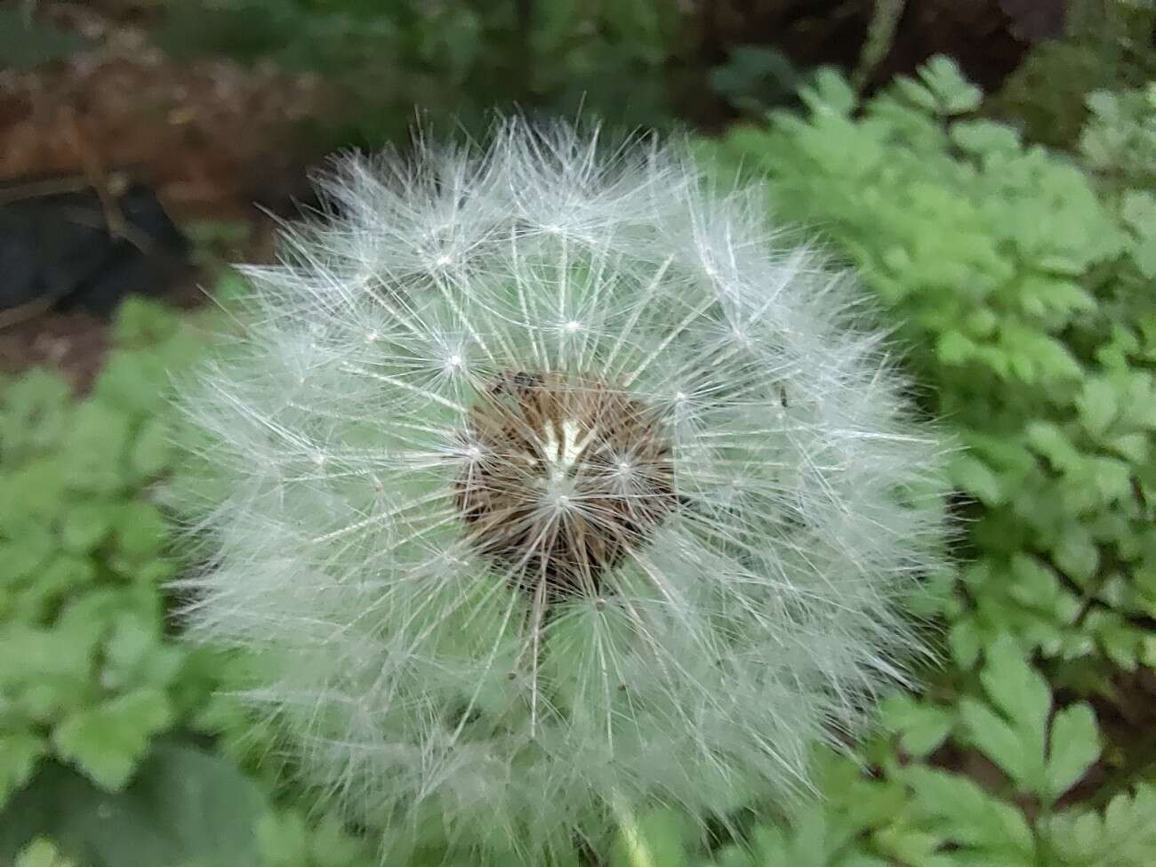 Test RedMagic 5G. Bestia ze 144 Hz ekranem chłodzona wentylatorem