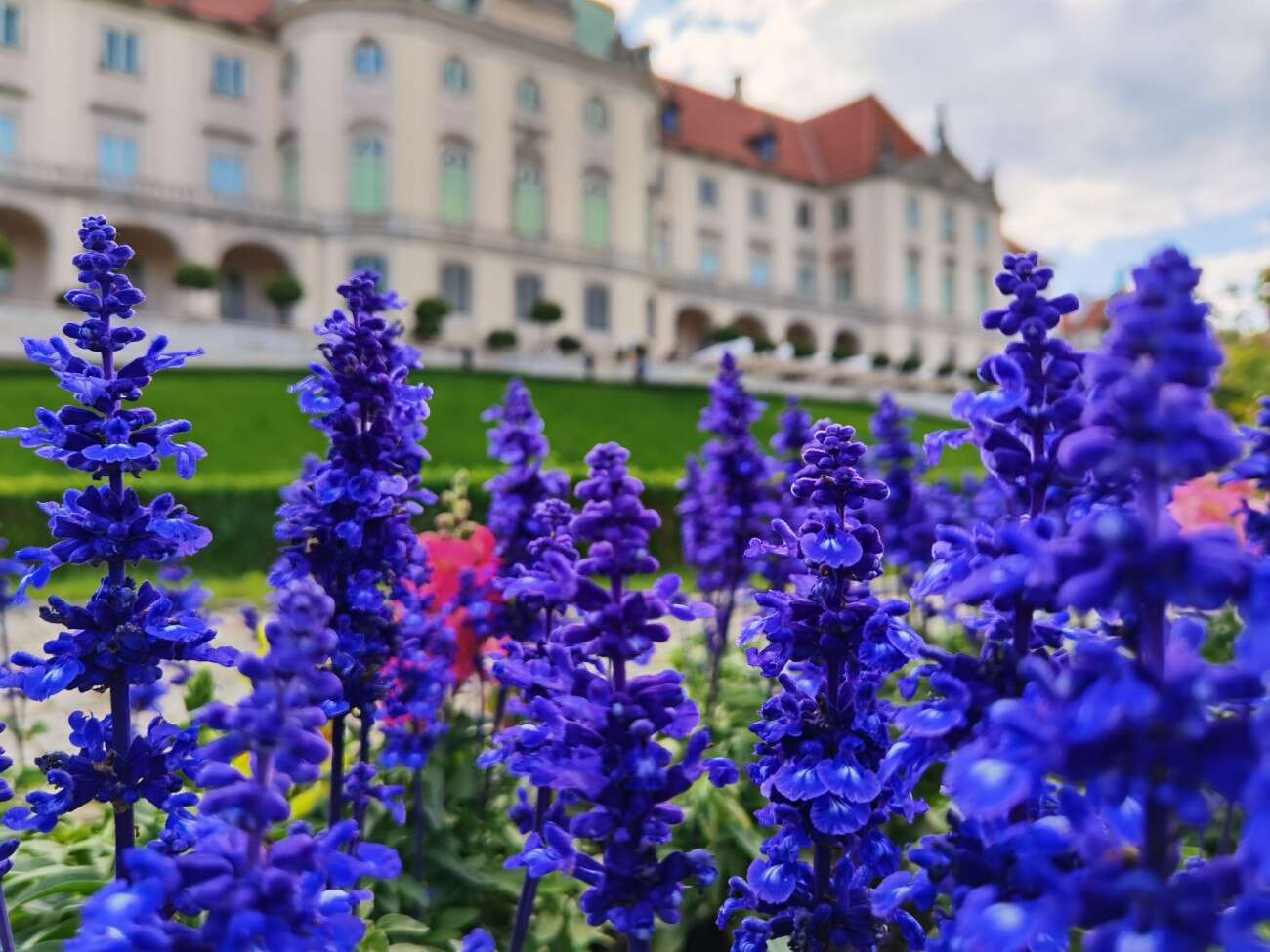 Recenzja Huawei P40 Pro+, czyli jak poprawić najlepszy aparat na rynku