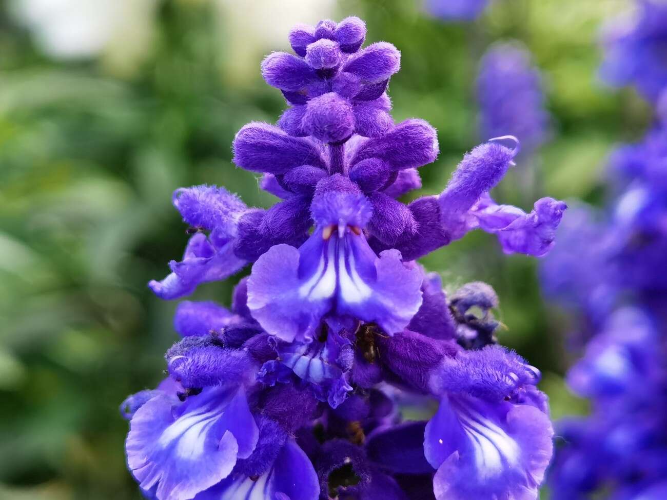 Recenzja Huawei P40 Pro+, czyli jak poprawić najlepszy aparat na rynku