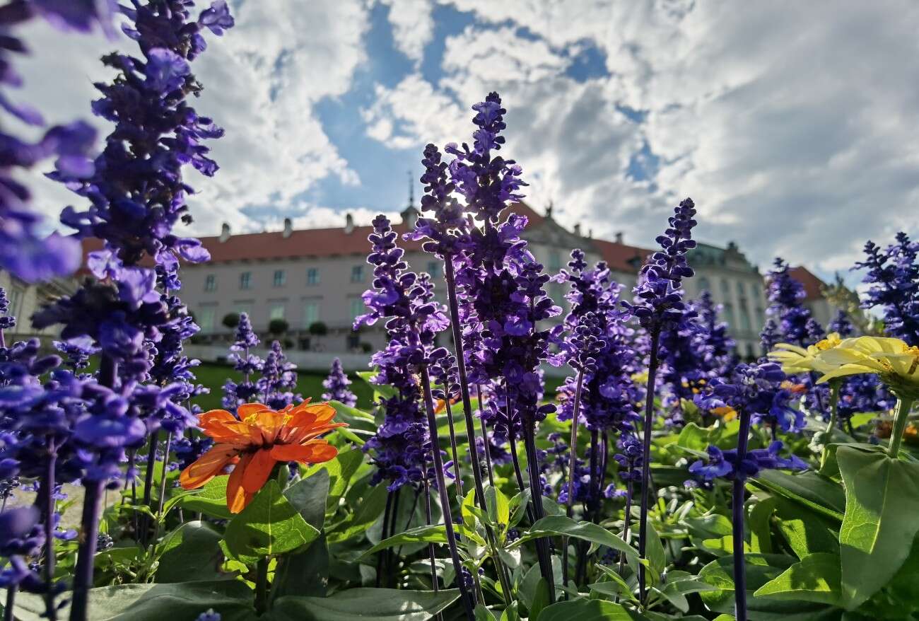 Recenzja Huawei P40 Pro+, czyli jak poprawić najlepszy aparat na rynku