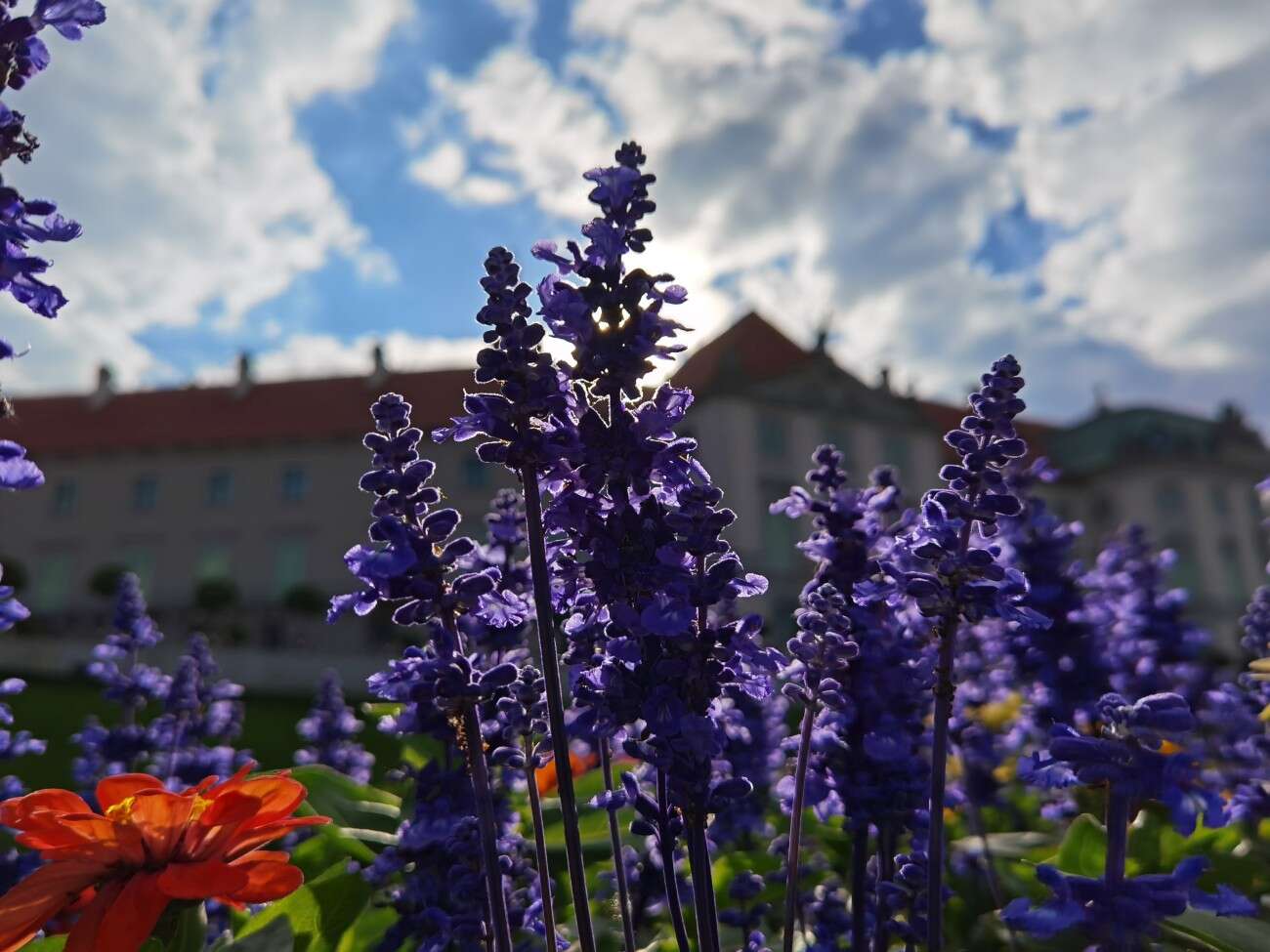 Recenzja Huawei P40 Pro+, czyli jak poprawić najlepszy aparat na rynku