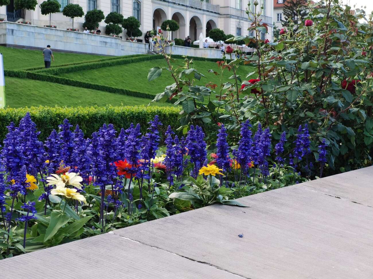 Recenzja Huawei P40 Pro+, czyli jak poprawić najlepszy aparat na rynku