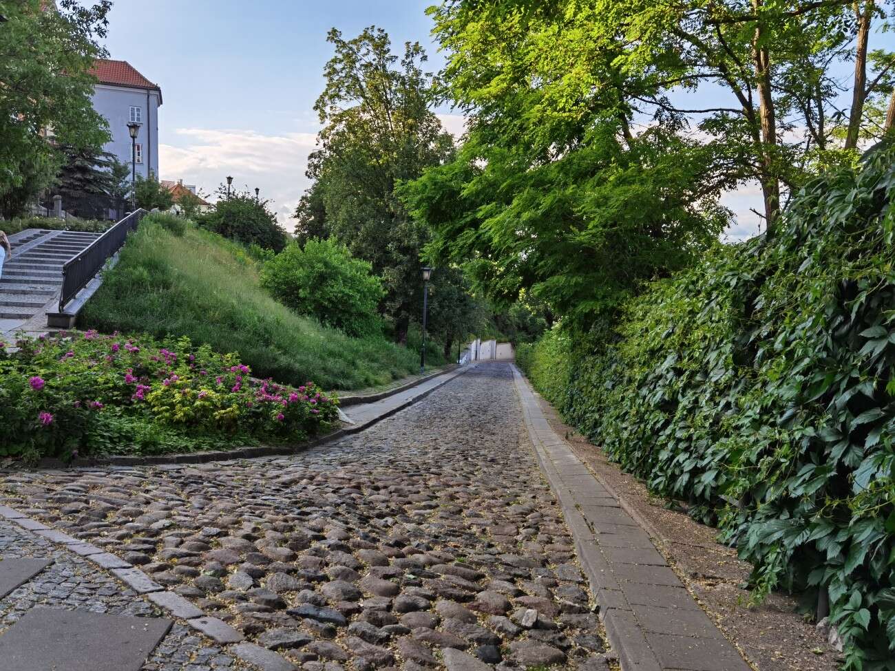 Recenzja Huawei P40 Pro+, czyli jak poprawić najlepszy aparat na rynku