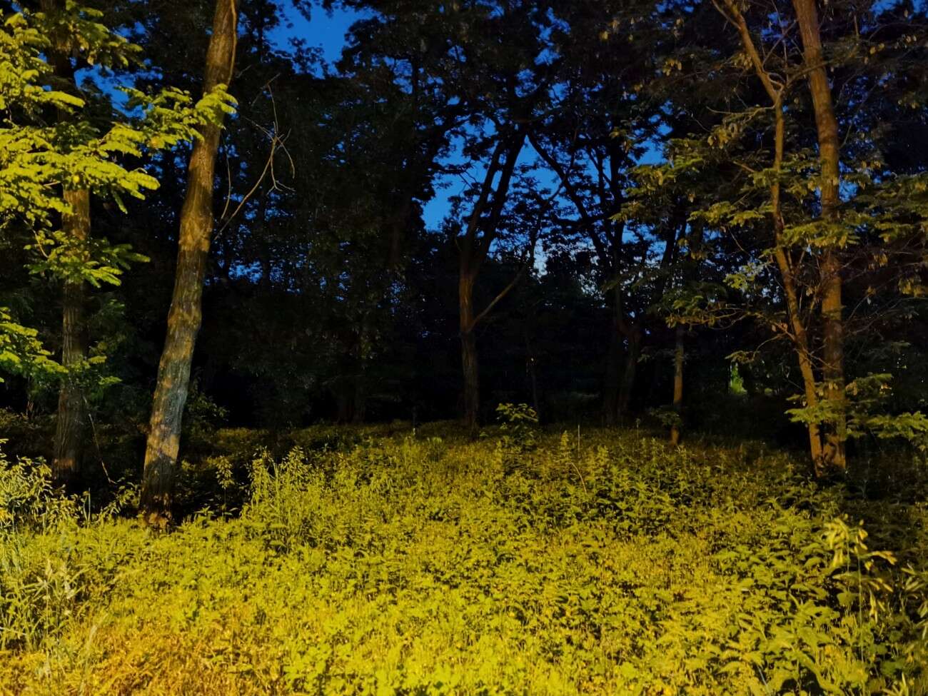 Recenzja Huawei P40 Pro+, czyli jak poprawić najlepszy aparat na rynku