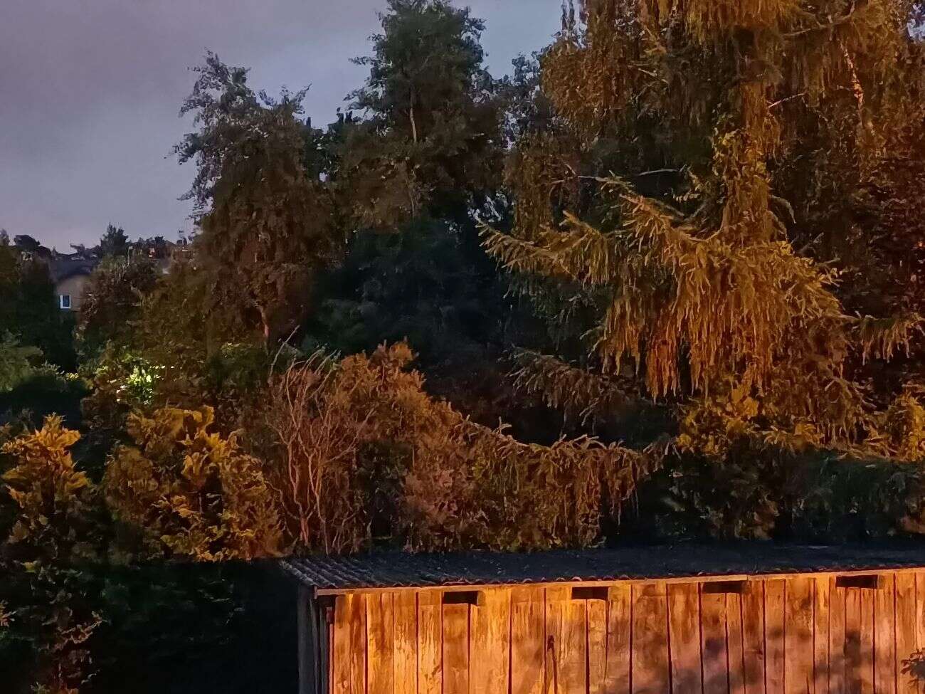 Recenzja Oppo Reno3 okiem użytkownika