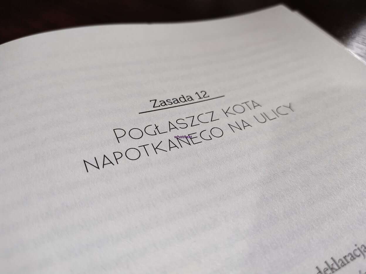 Recenzja 12 życiowych zasad Jordana Petersona | Sensbook #12