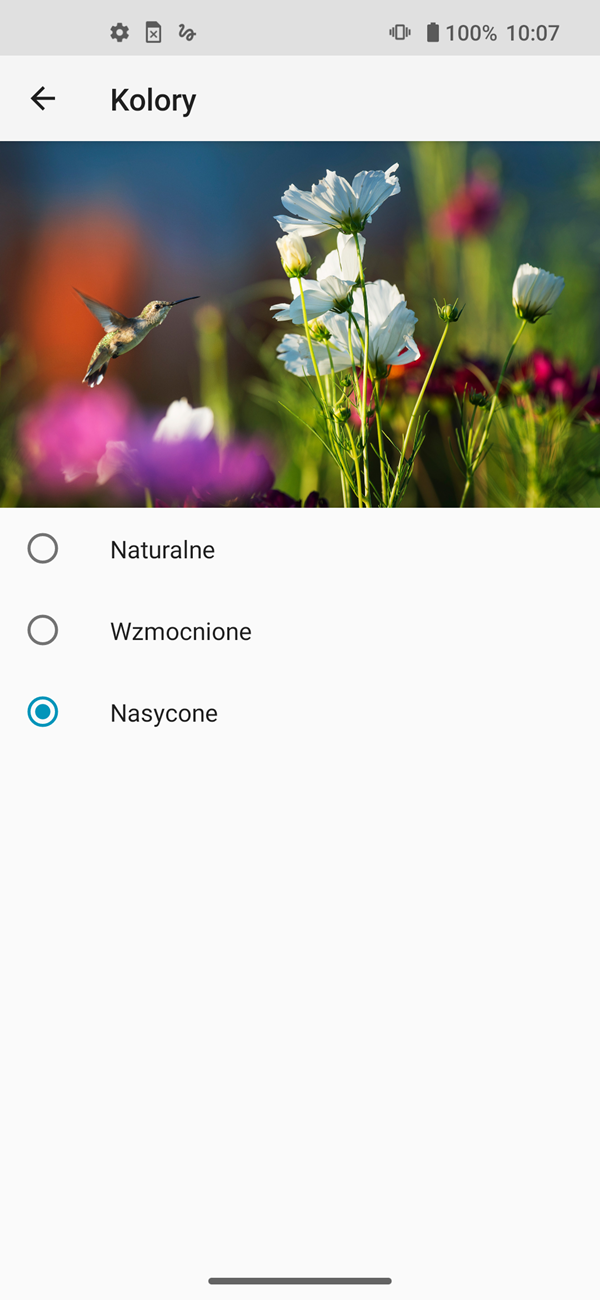 Test Motorola Edge – czy krawędzie robią różnicę?