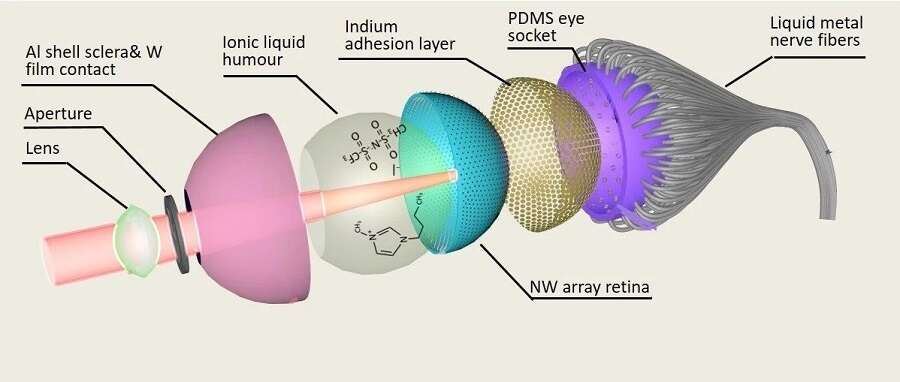 Sztuczne oko może zapewnić wzrok lepszy od ludzkiego i widzenie w nocy