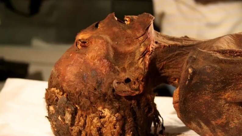 Zobaczcie tę przerażoną mumię. Co doprowadziło do śmierci tej osoby?