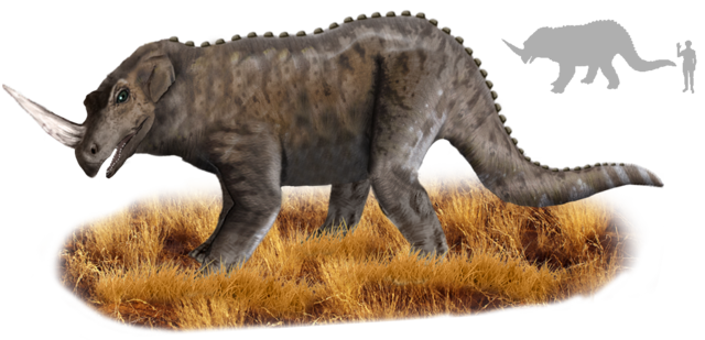 10 najbardziej niezwykłych kryptyd