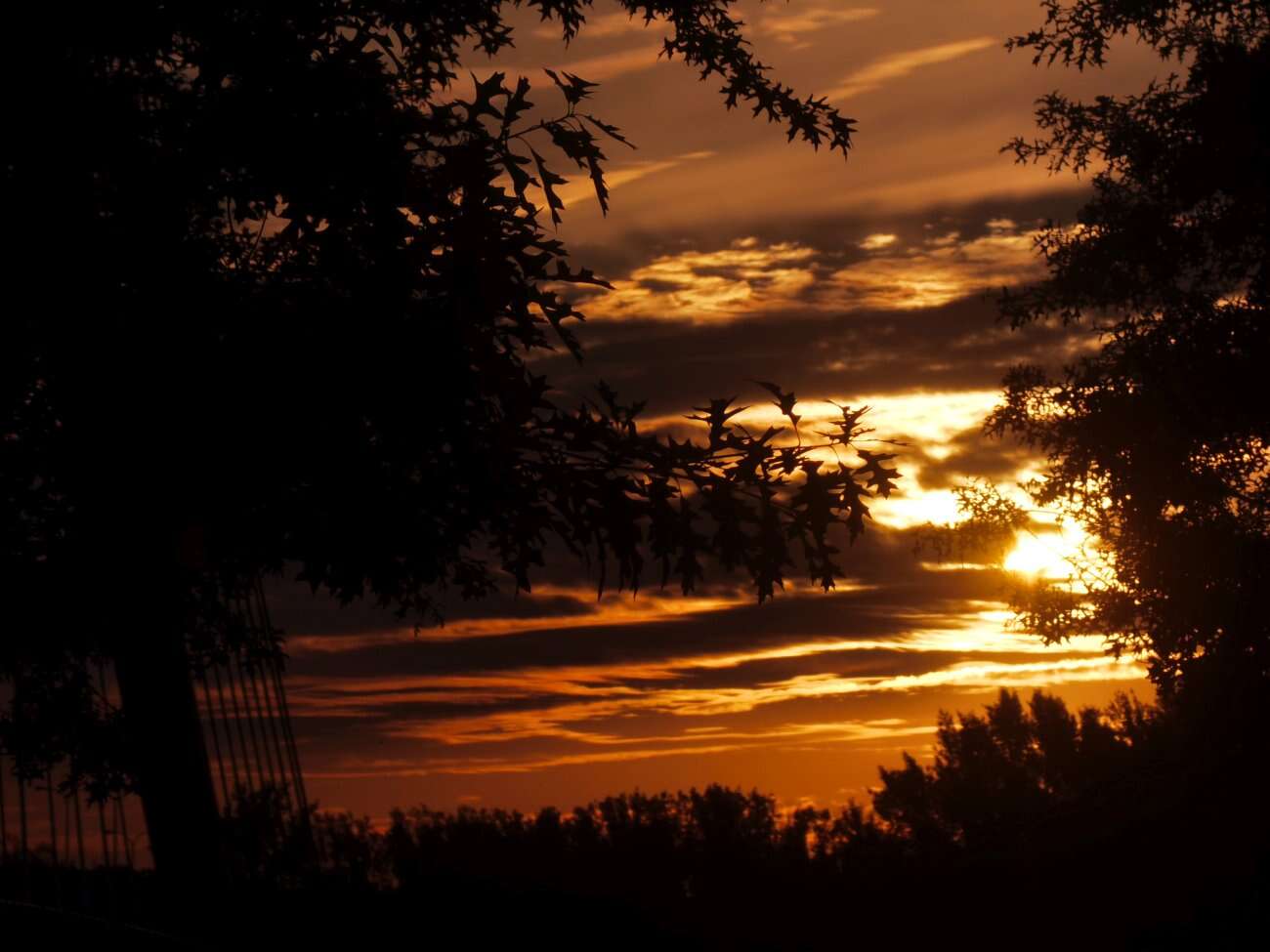 Huawei P40 Pro+ to smartfon z najbardziej kompletnym aparatem