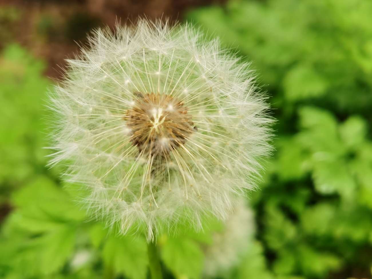 Huawei P40 Pro+ to smartfon z najbardziej kompletnym aparatem