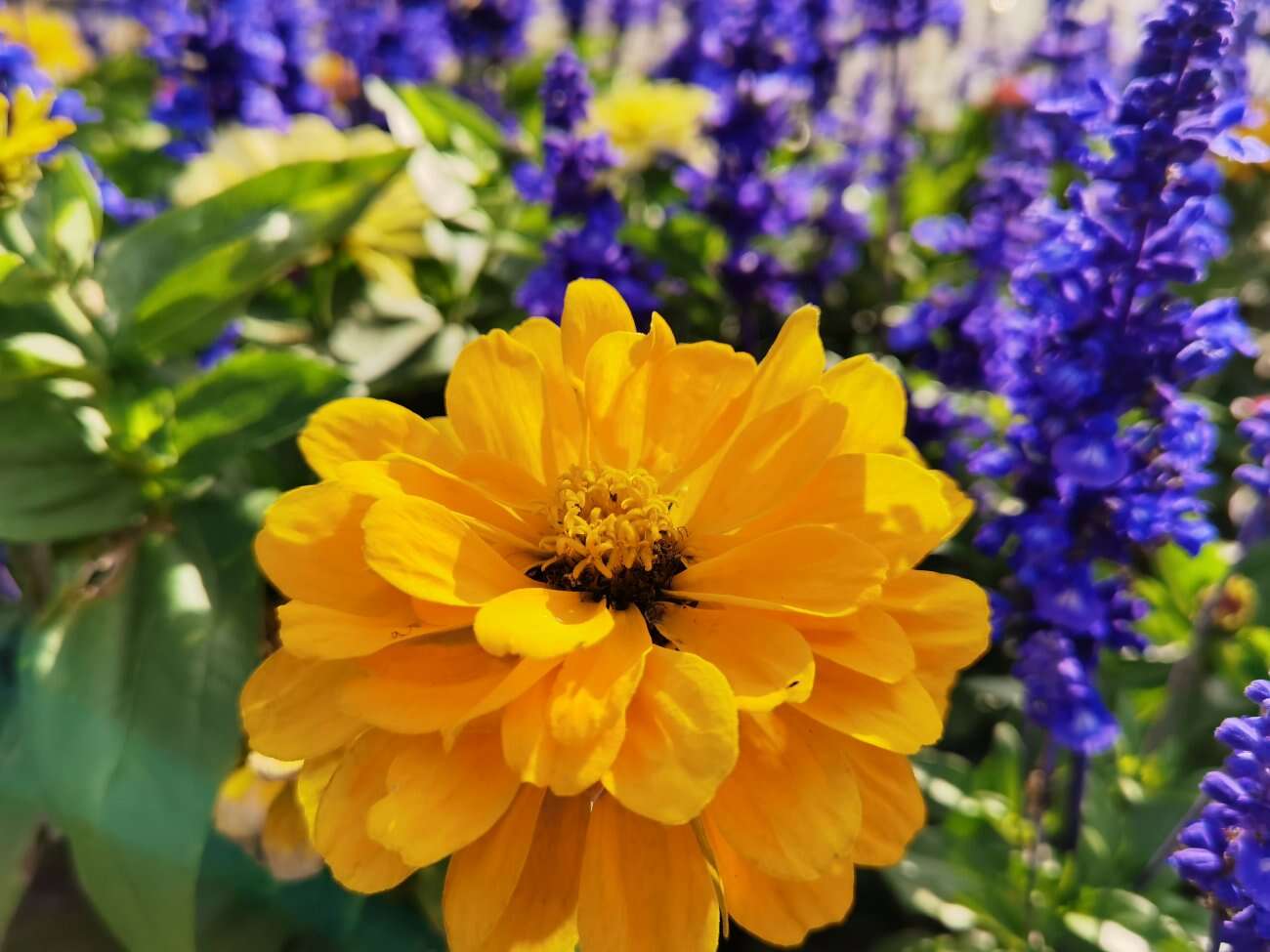 Huawei P40 Pro+ to smartfon z najbardziej kompletnym aparatem