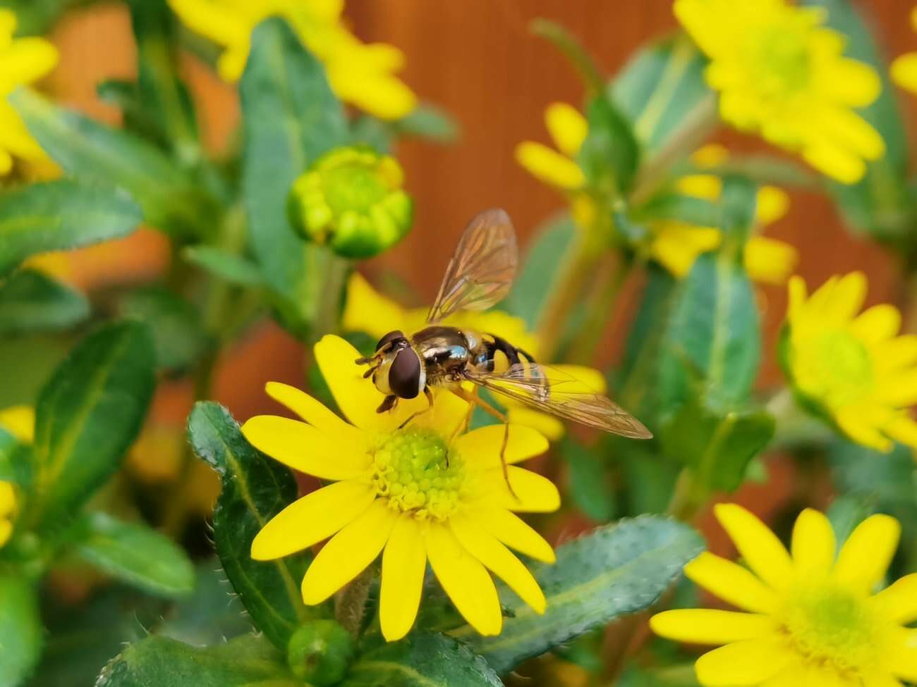 Huawei P40 Pro+ to smartfon z najbardziej kompletnym aparatem