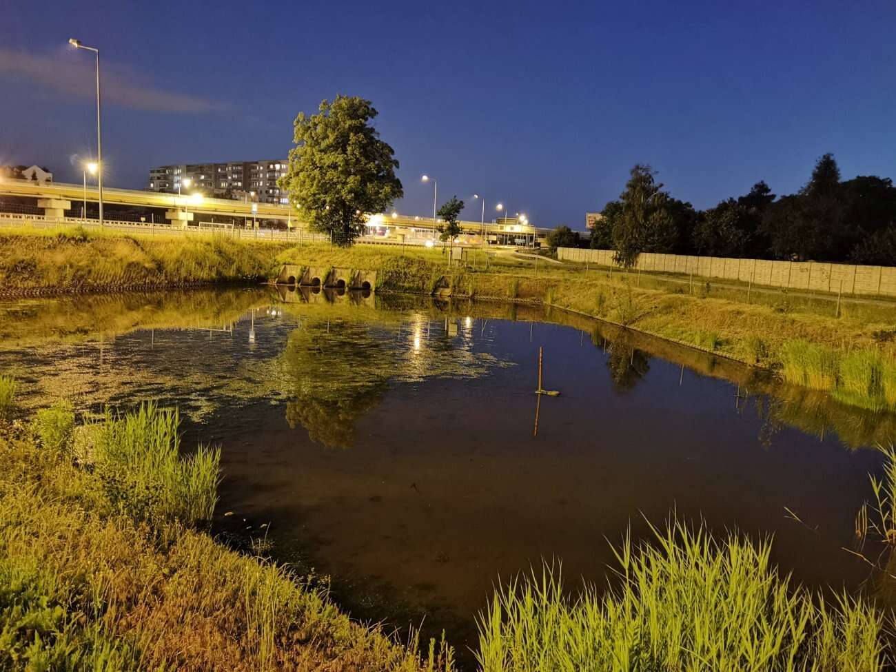 Huawei P40 Pro+ to smartfon z najbardziej kompletnym aparatem