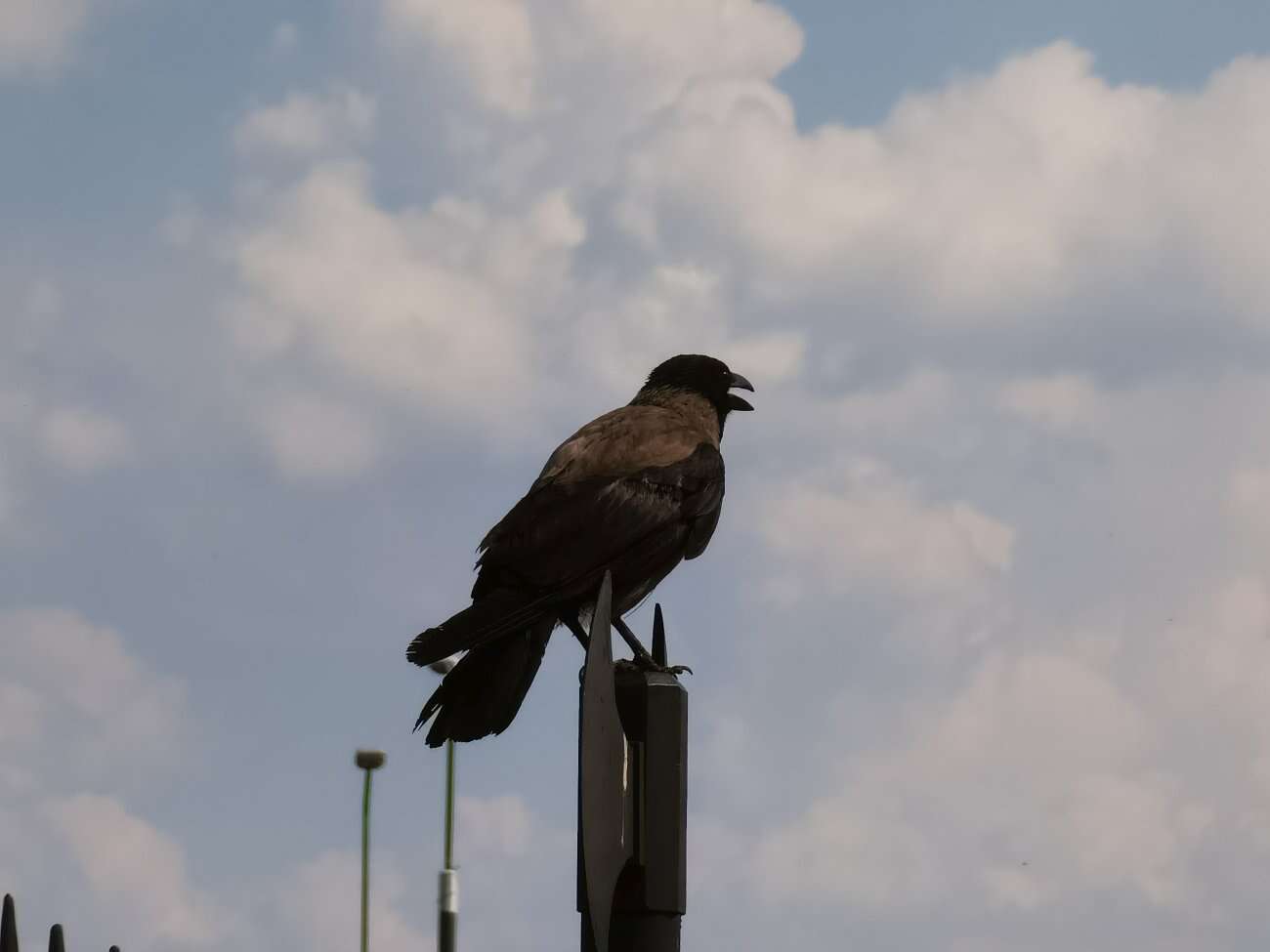 Huawei P40 Pro+ to smartfon z najbardziej kompletnym aparatem