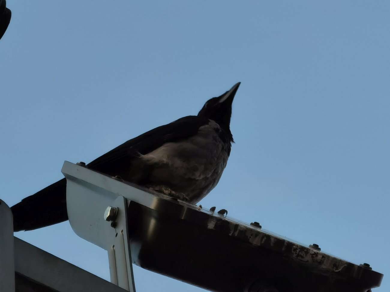 Huawei P40 Pro+ to smartfon z najbardziej kompletnym aparatem