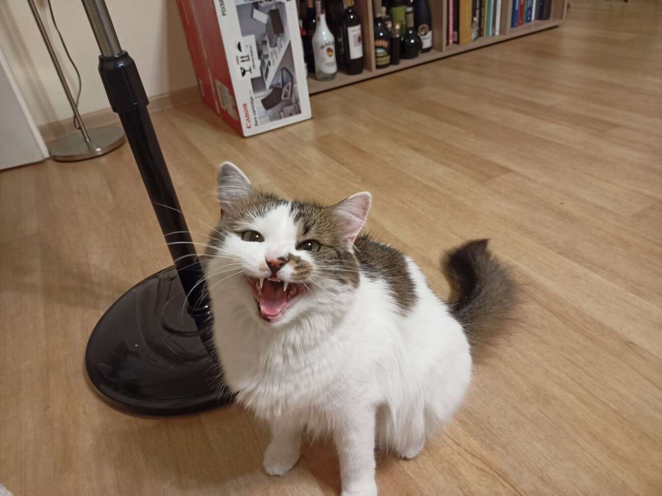 Test realme 6S - funkcje z wyższej półki za mniej niż 1000 zł