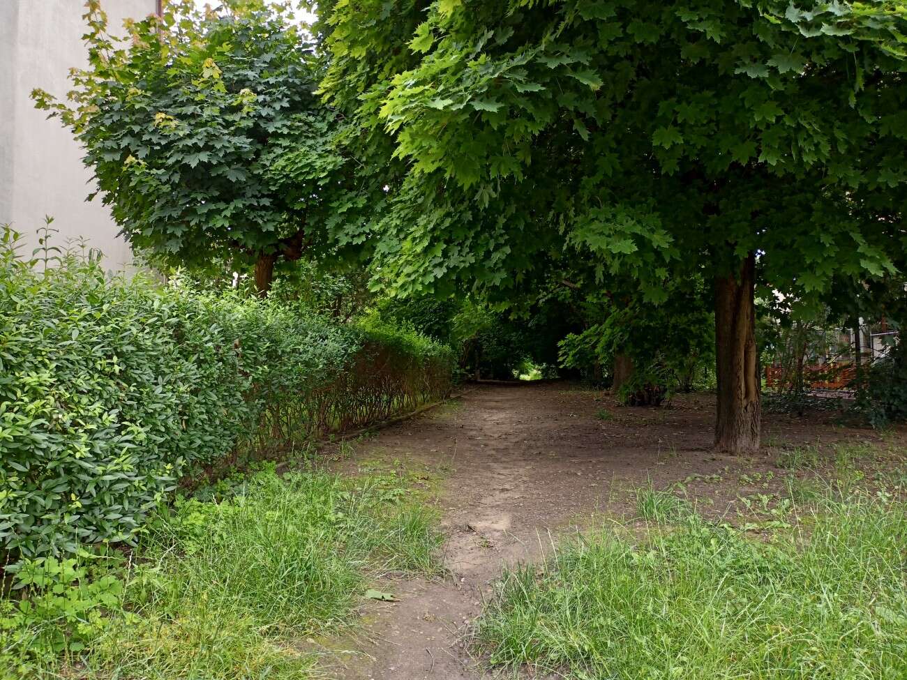 Test realme 6S - funkcje z wyższej półki za mniej niż 1000 zł