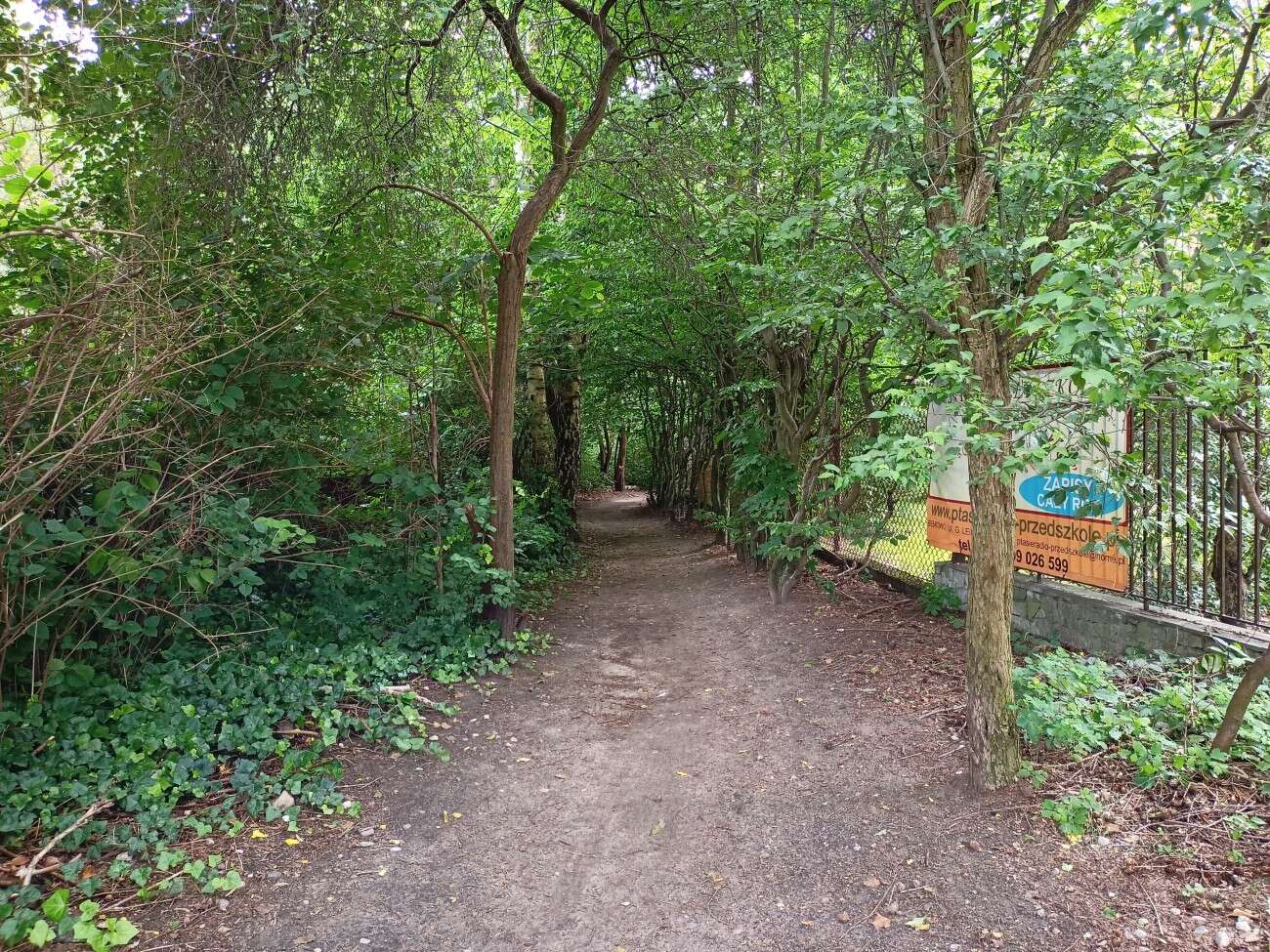 Test realme 6S - funkcje z wyższej półki za mniej niż 1000 zł