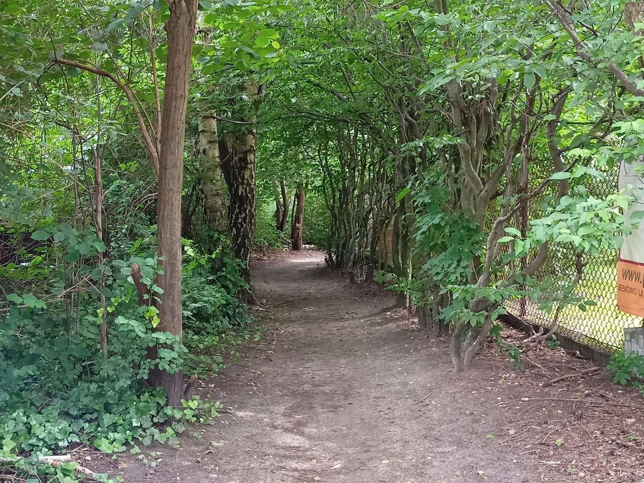 Test realme 6S - funkcje z wyższej półki za mniej niż 1000 zł