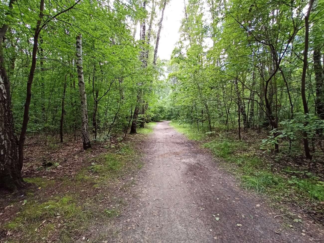 Test realme 6S - funkcje z wyższej półki za mniej niż 1000 zł