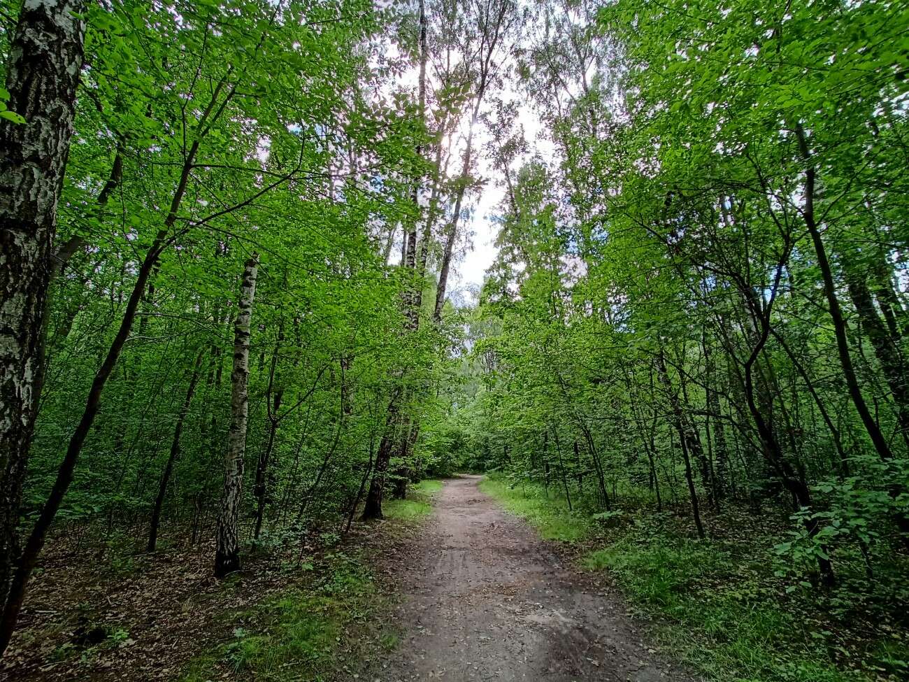 Test realme 6S - funkcje z wyższej półki za mniej niż 1000 zł