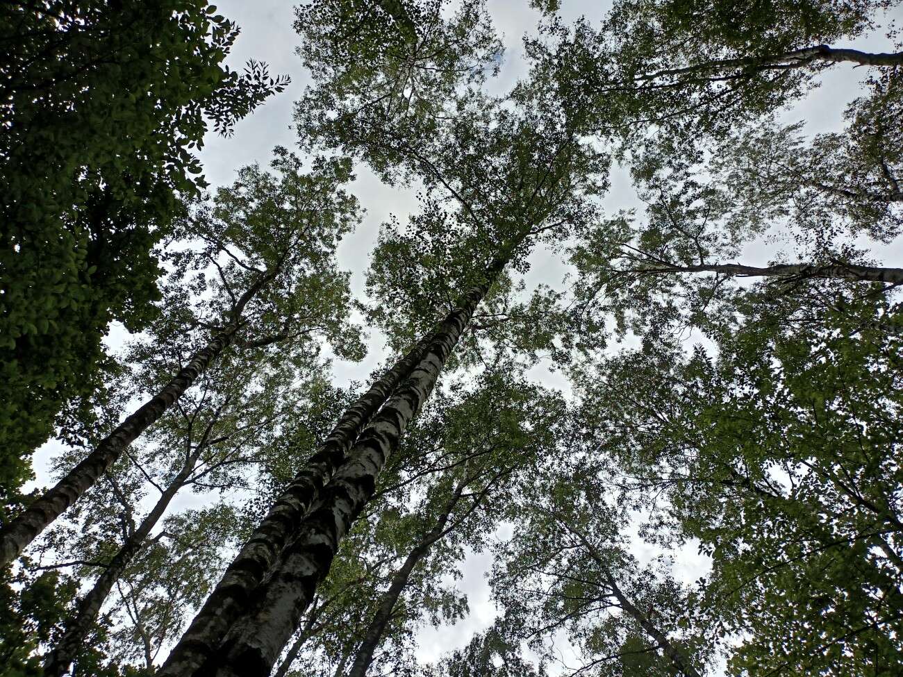 Test realme 6S - funkcje z wyższej półki za mniej niż 1000 zł