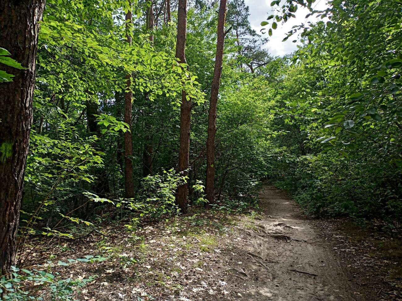 Test realme 6S - funkcje z wyższej półki za mniej niż 1000 zł