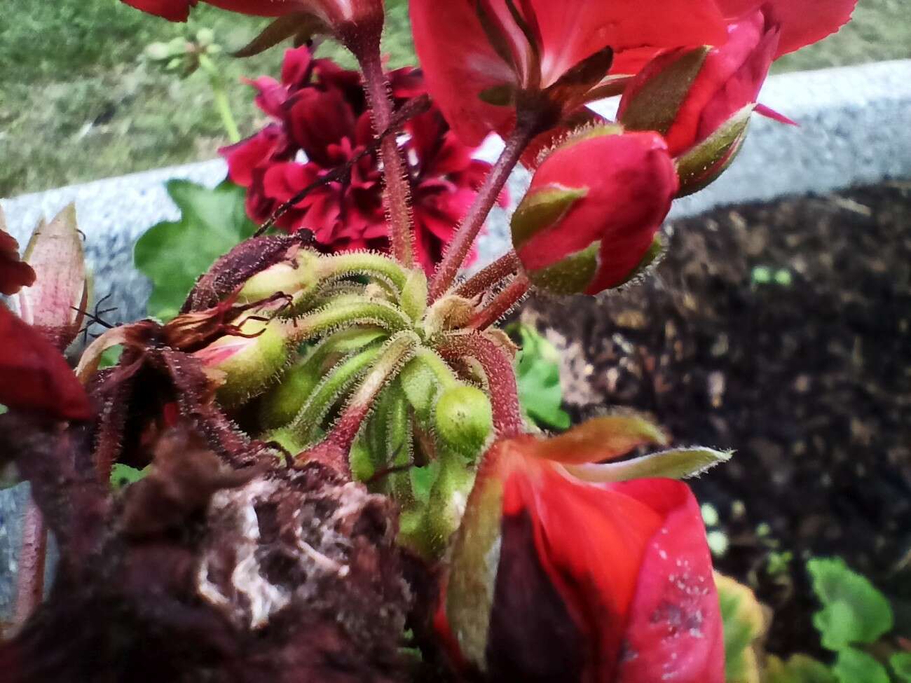 Test realme 6S - funkcje z wyższej półki za mniej niż 1000 zł