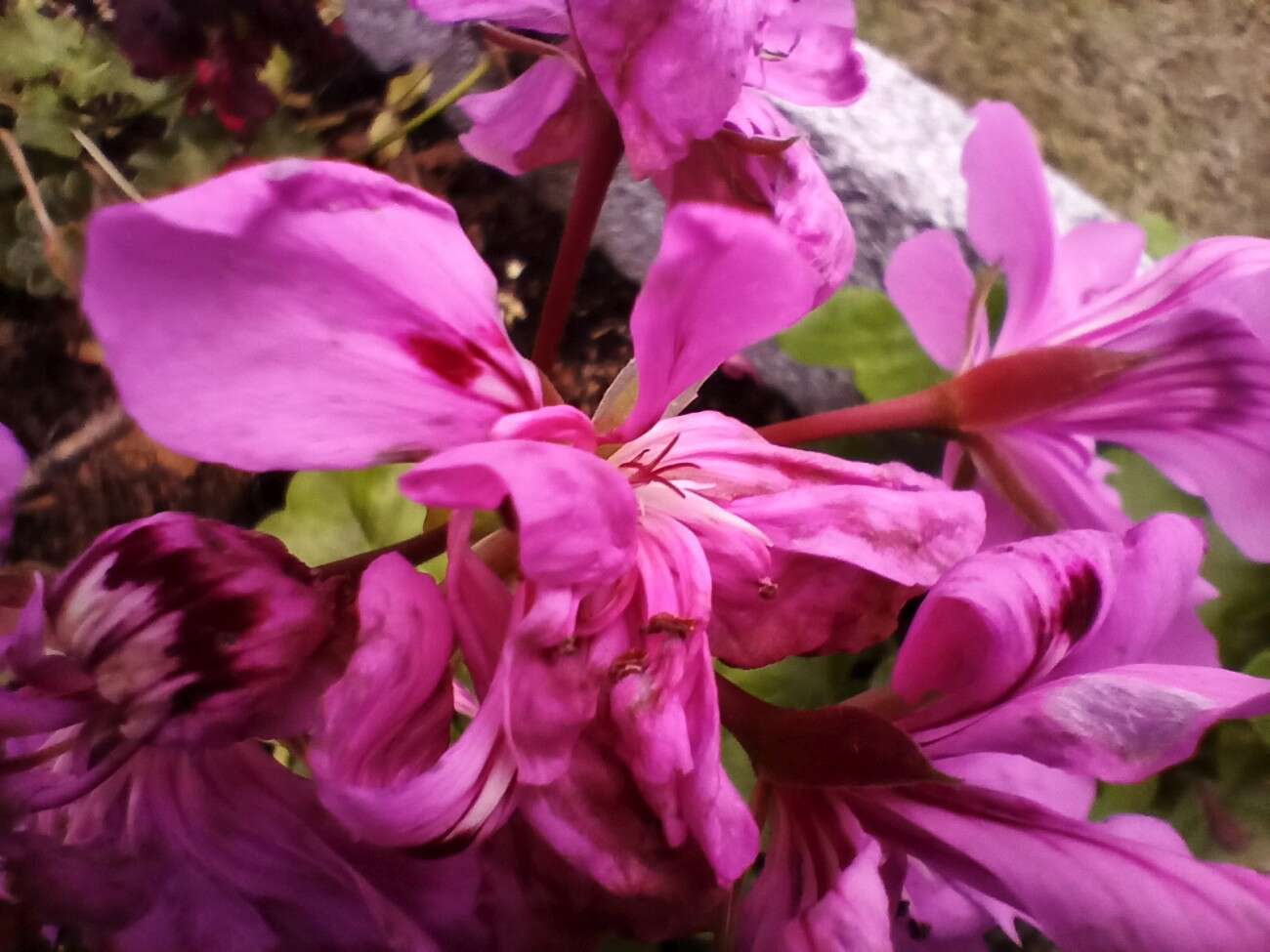 Test realme 6S - funkcje z wyższej półki za mniej niż 1000 zł