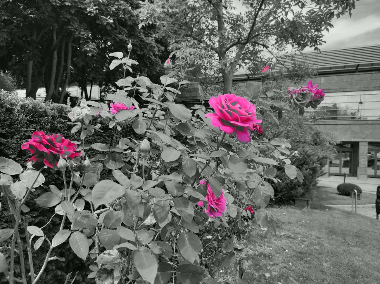 Motorola Edge w Plusie czyli 5G w unikatowym opakowaniu