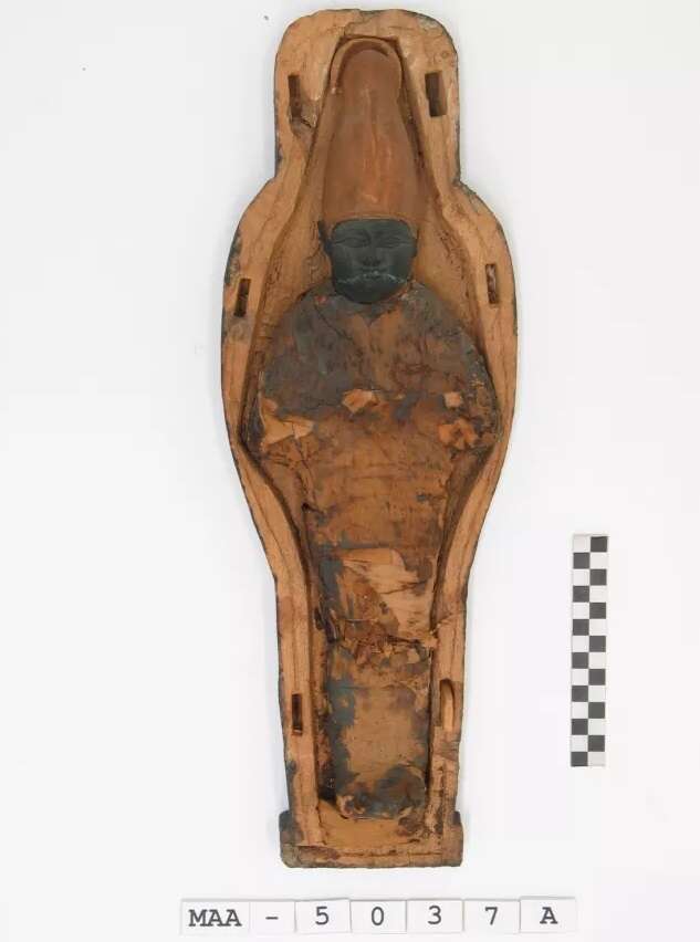 Archeolodzy natrafili na niewielkie mumie, które nie są ludzkie. Jak powstały?