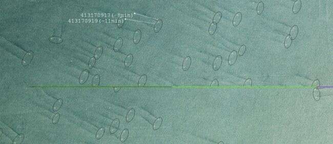 Nielegalne połowy to ogromny problem. Zobaczcie, jak oceniono jego skalę