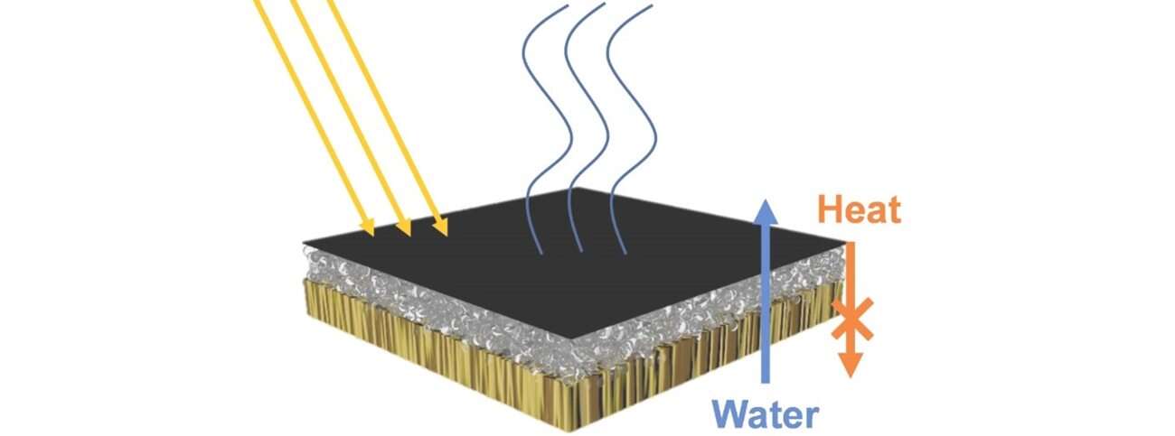 Słońce, drewno i bakterie łączą siły w myśl oczyszczania wody
