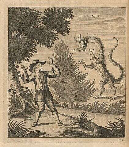 10 najbardziej niezwykłych kryptyd