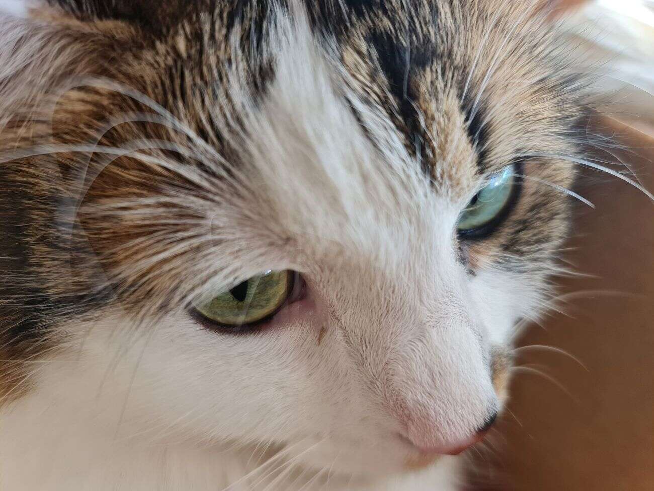 Test Samsunga Galaxy Note20 Ultra. Smartfon ostateczny dla głębokich kieszeni