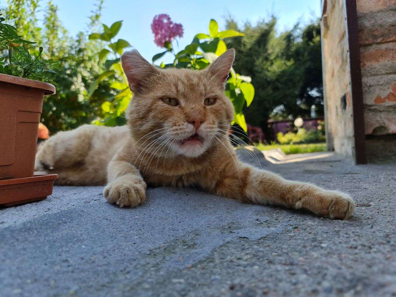 Test Samsunga Galaxy Note20 Ultra. Smartfon ostateczny dla głębokich kieszeni