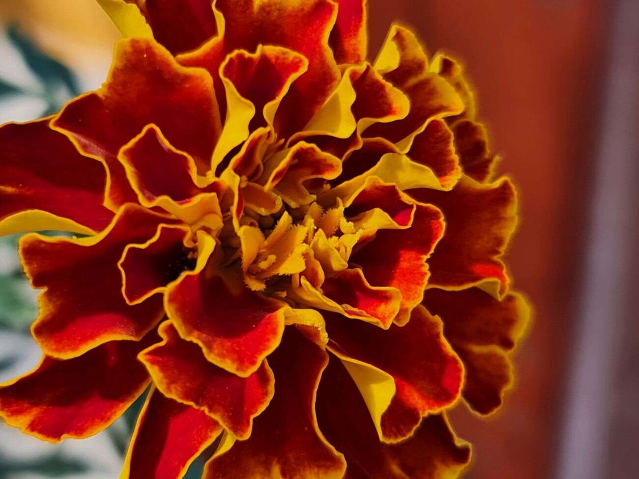 Test Samsunga Galaxy Note20 Ultra. Smartfon ostateczny dla głębokich kieszeni