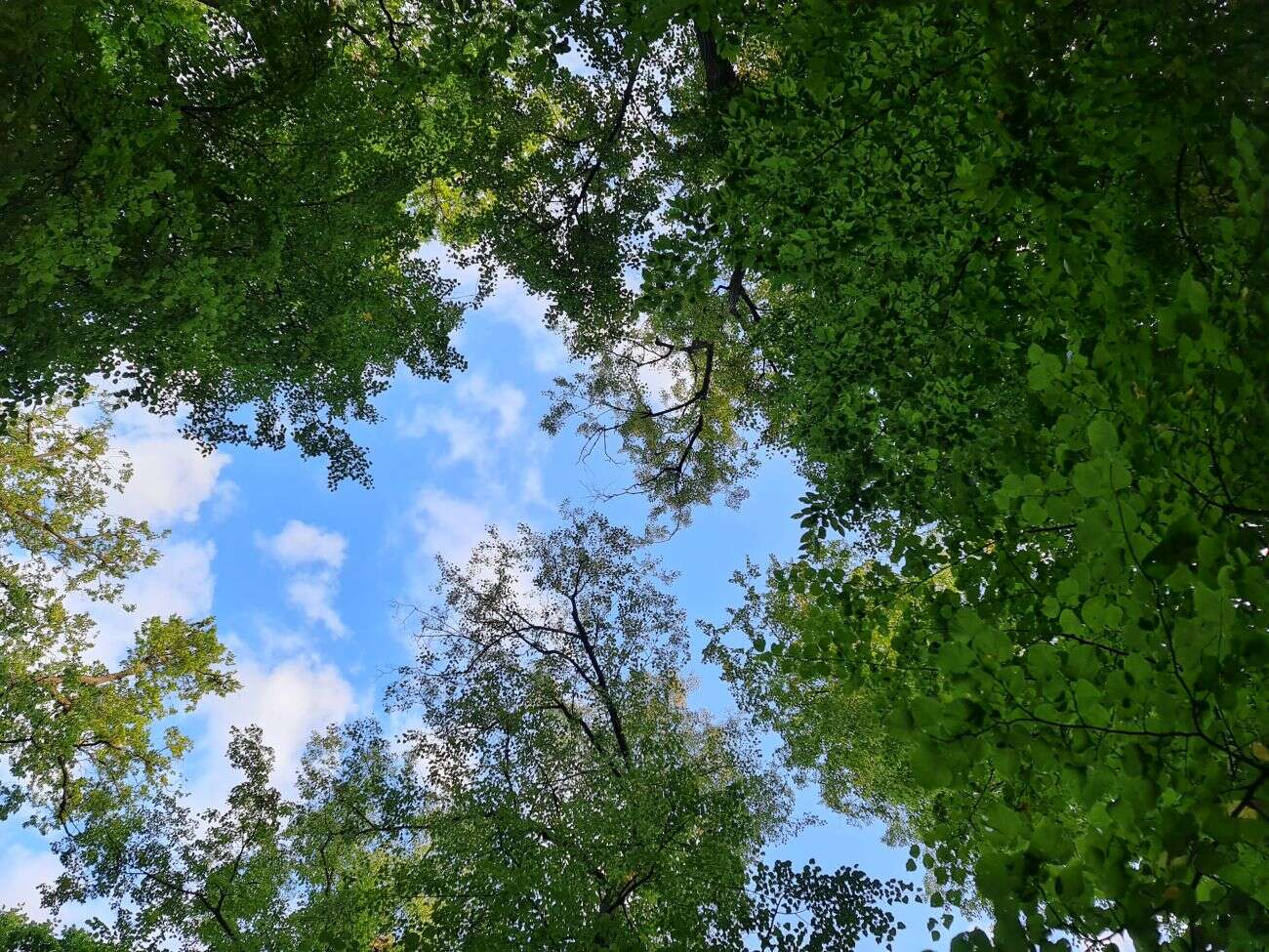 Test Samsunga Galaxy Note20 Ultra. Smartfon ostateczny dla głębokich kieszeni