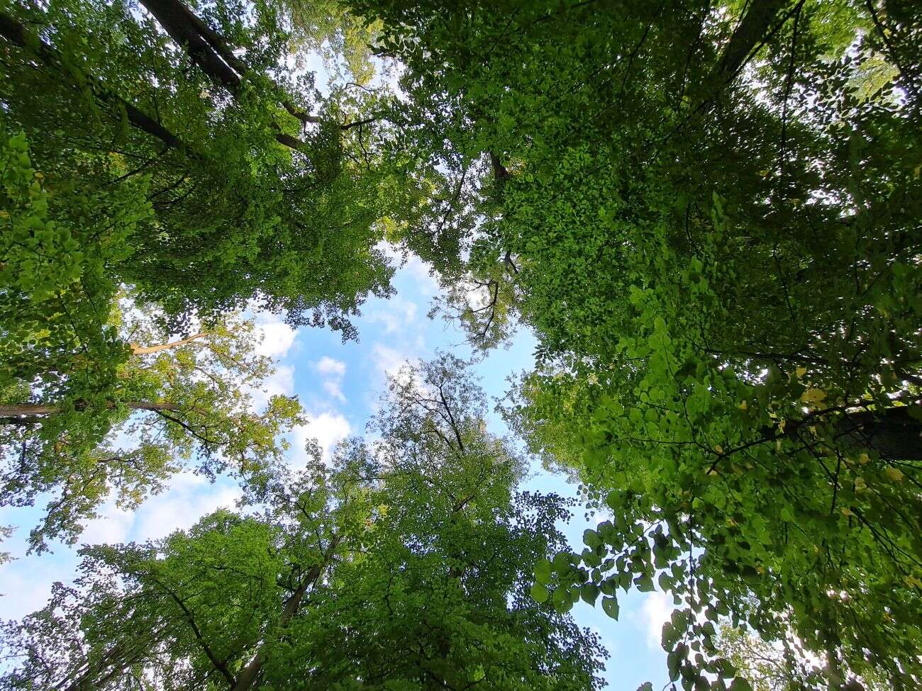 Test Samsunga Galaxy Note20 Ultra. Smartfon ostateczny dla głębokich kieszeni