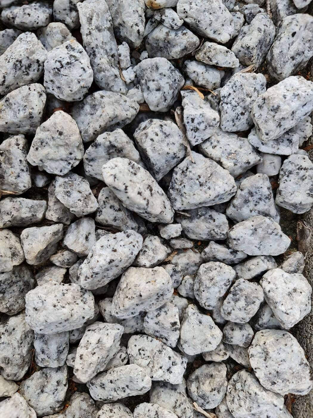 Test Samsunga Galaxy Note20 Ultra. Smartfon ostateczny dla głębokich kieszeni